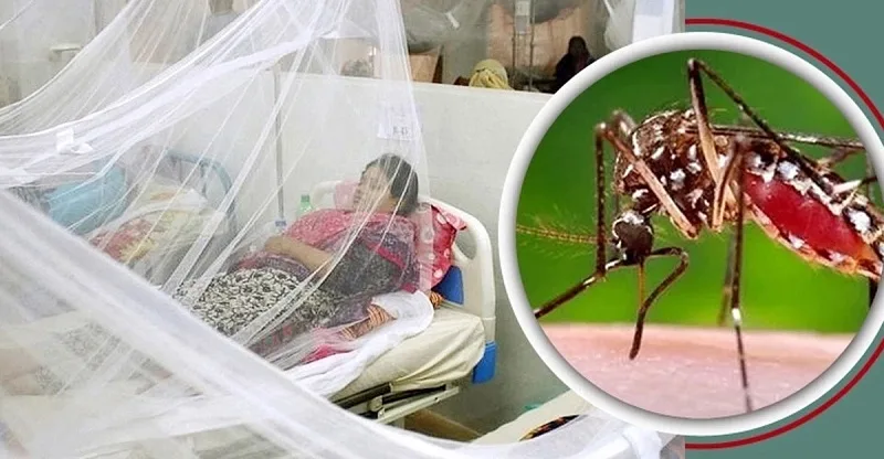 ডেঙ্গুর ভয়াবহতা বাড়ছেই, ২৪ ঘণ্টায় আরও ১০ জনের মৃত্যু